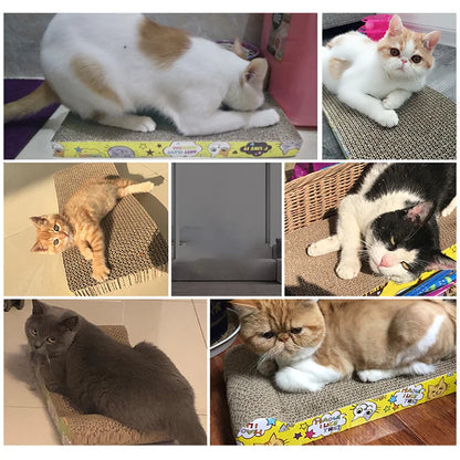 Cat Cardboard Scratcher