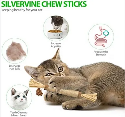 Premium Natural Silvervine Cat Dental Sticks