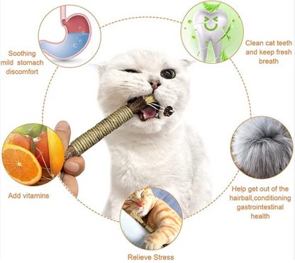 Premium Natural Silvervine Cat Dental Sticks