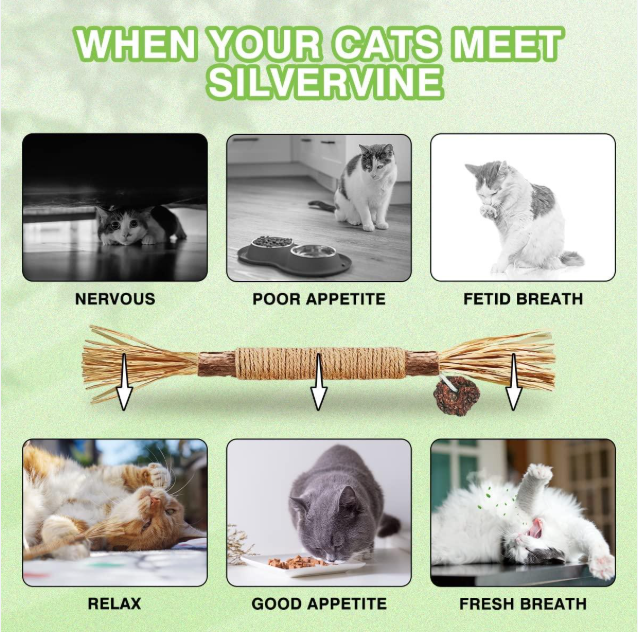 Premium Natural Silvervine Cat Dental Sticks