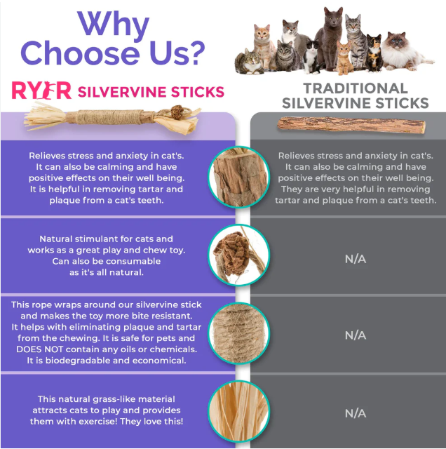 Premium Natural Silvervine Cat Dental Sticks