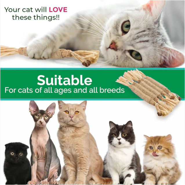 Premium Natural Silvervine Cat Dental Sticks